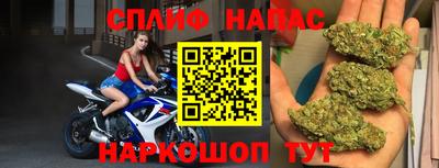 СК Беслан