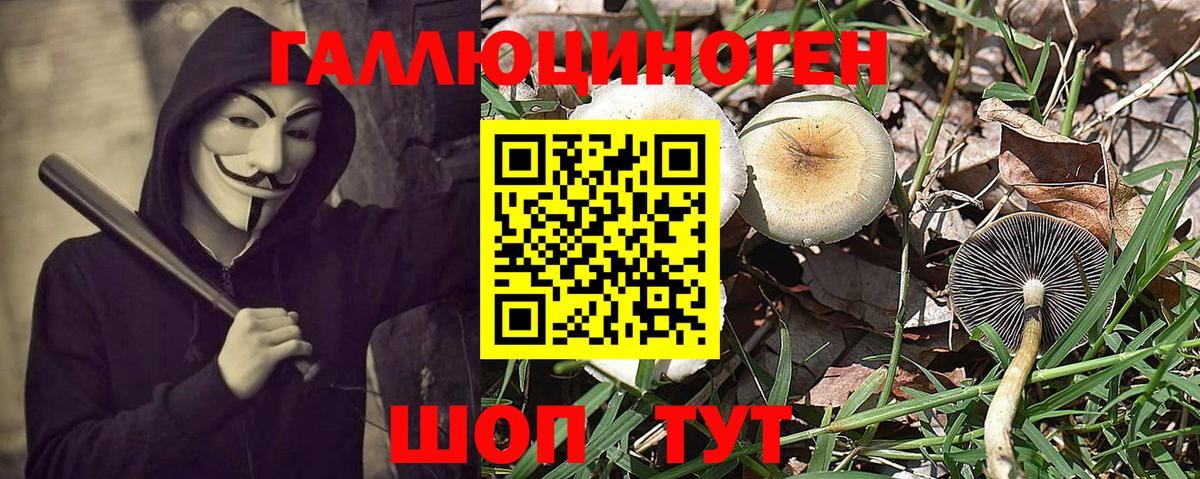 Коломна  Галлюциногенные грибы Psilocybine cubensis  Вход с VPN 