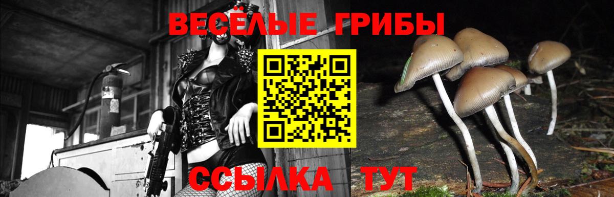 Галлюциногенные грибы ЛСД Коломна